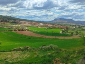 Vistas